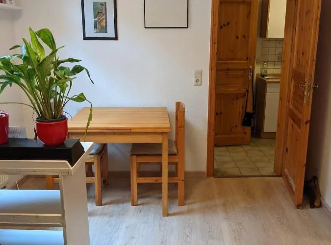 Apartment 10 *